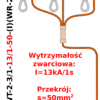 Uziemiacz przenośny trójfazowy do przewodów okrągłych U3-O-WT-2-3/1-13/1-50-(I)(WR-2z)