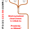 Uziemiacz przenośny trójfazowy do przewodów okrągłych U3-O-WT-3-3/1-13/1-50-(I)(WR-2z)